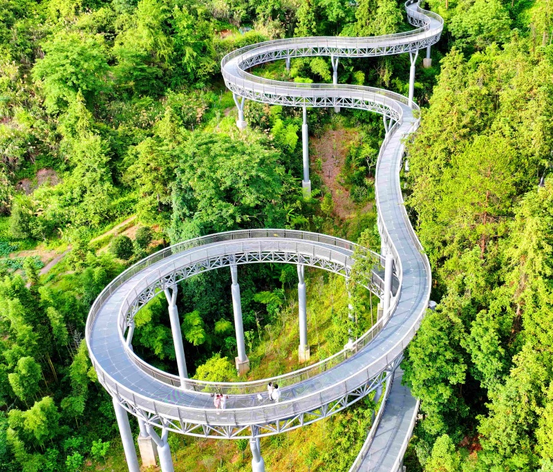 Jiangxi : un ? corridor flottant dans la forêt ? devient un endroit de choix pour le fitness et les loisirs à Chongyi