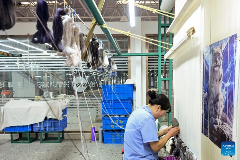Une employée travaille sur un tapis tibétain dans un atelier du groupe Shengyuan Carpet, à Xining, capitale de la province du Qinghai (nord-ouest de la Chine), le 21 juillet 2025. (Qi Zhiyue/Xinhua)
