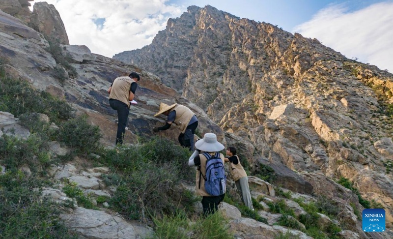 Ningxia : la préservation des peintures rupestres du?mont Helan à Yinchuan