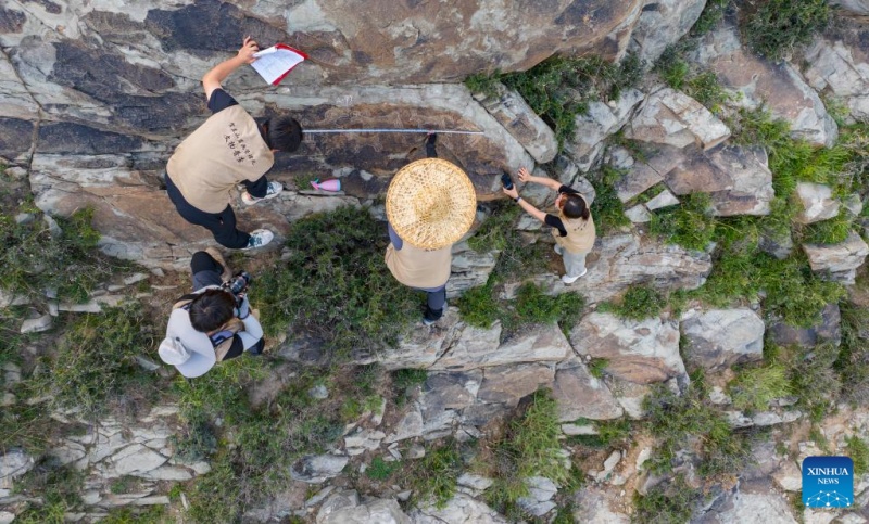 Ningxia : la préservation des peintures rupestres du?mont Helan à Yinchuan