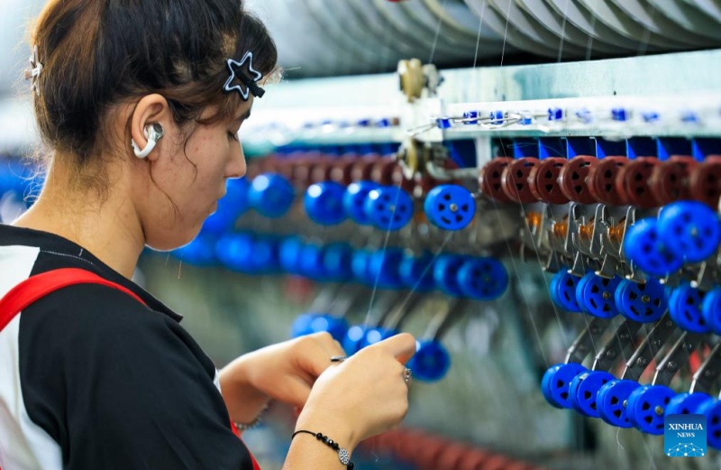 Xinjiang:  à Wusu, la production intelligente de soie de m?rier dynamise la revitalisation des zones rurales