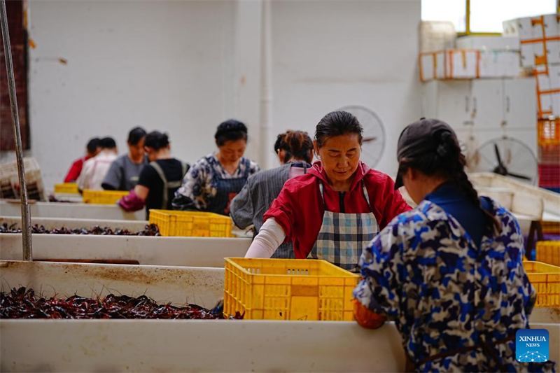 (Guan Honglei/Xinhua)