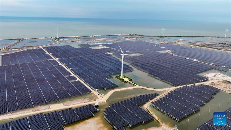 Shandong : la ville de Dongying utilise des terres de champ pétrolifères en friche pour développer des énergies propres