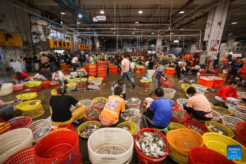 Zhejiang : la récolte des crabes nageurs à Zhoushan