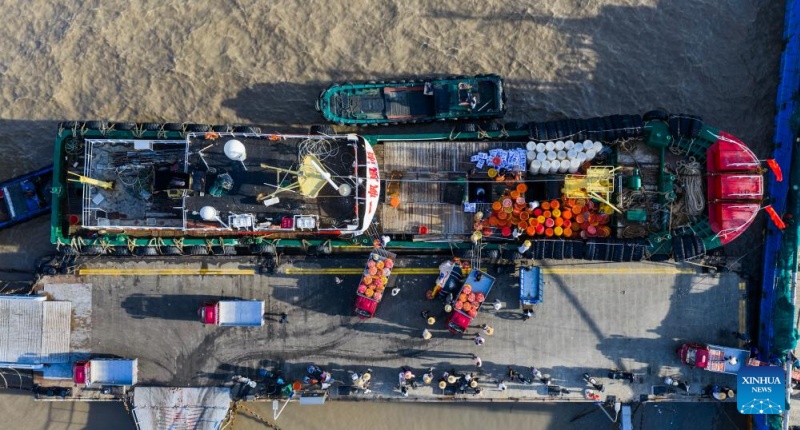 Zhejiang : la récolte des crabes nageurs à Zhoushan