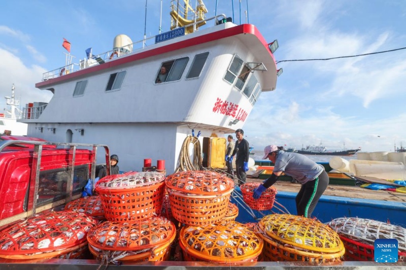 Zhejiang : la récolte des crabes nageurs à Zhoushan