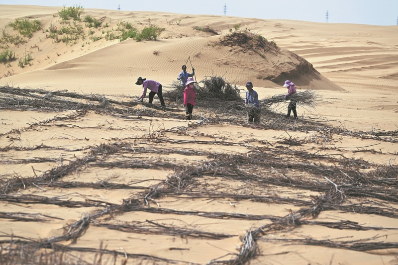 （Li Zhipeng/Xinhua)