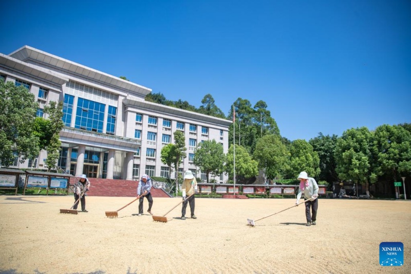 Chongqing : des agriculteurs font sécher des céréales dans une enceinte administrative du district de Yongchuan