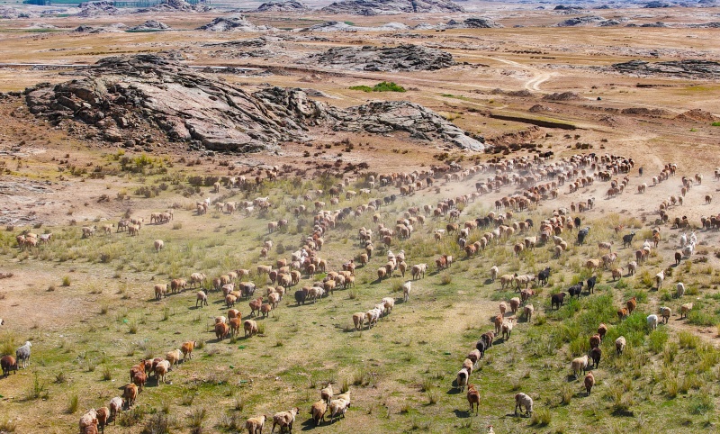 (Photo/Pic.people.com.cn)