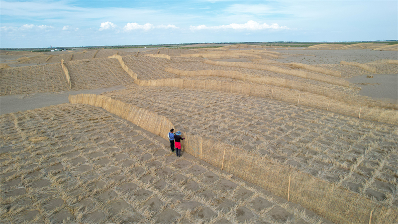 Gansu : la pose de barrages contre les tempêtes de sable habillent le désert de vêtements verts à Jinta