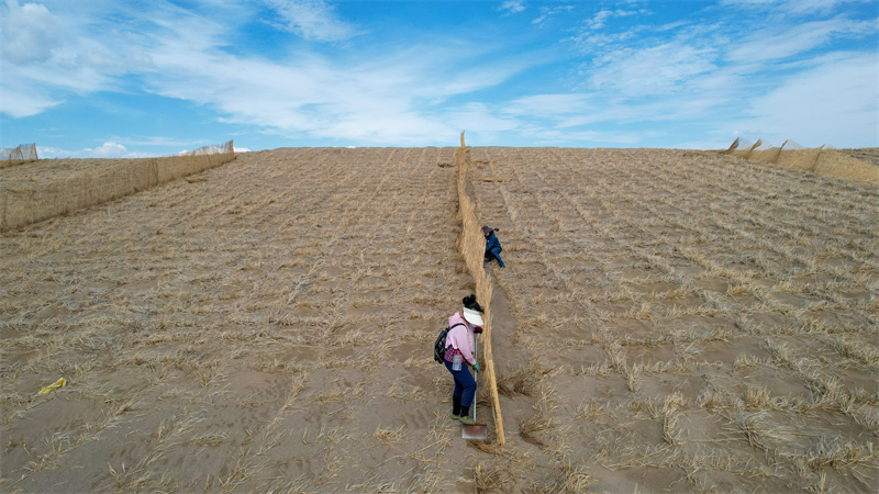 Gansu : la pose de barrages contre les tempêtes de sable habillent le désert de vêtements verts à Jinta