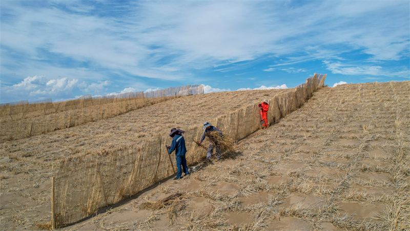 Gansu : la pose de barrages contre les tempêtes de sable habillent le désert de vêtements verts à Jinta