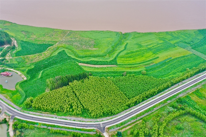 Shanxi : les paysages pittoresques le long des rives du fleuve Jaune à Pinglu