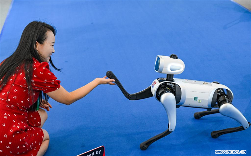 Une invitée interagit avec un chien robot sur le site de l'Exposition mondiale de l'industrie intelligente 2025 à Chongqing, dans le sud-ouest de la Chine, le 4 septembre 2025. L'exposition, qui se déroule du 5 au 8 septembre à Chongqing, présente les dernières avancées de l'industrie intelligente à travers des expositions professionnelles. (Photo : Wang Quanchao)