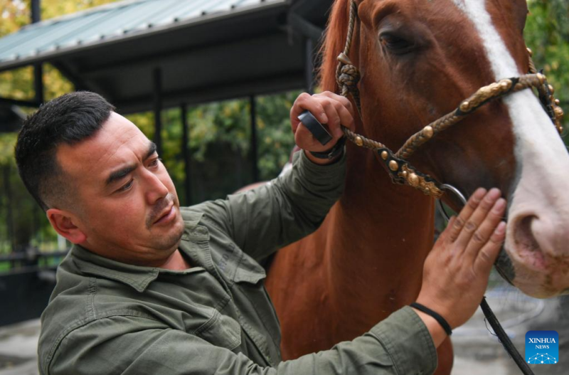 Xinjiang : histoire en images d'un dresseur de chevaux