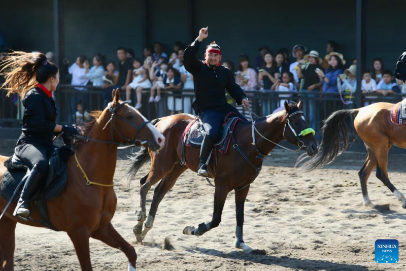 Xinjiang : histoire en images d'un dresseur de chevaux