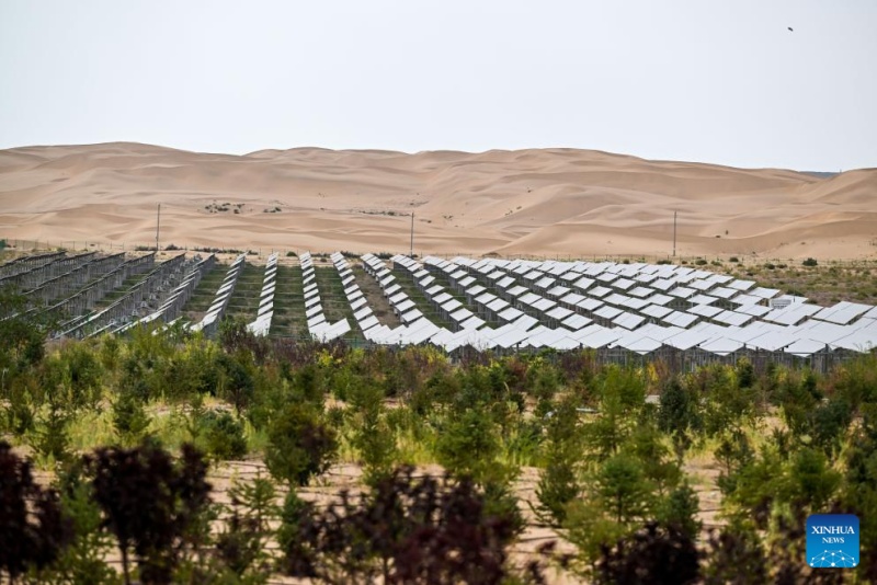 Mongolie intérieure?: la base photovolta?que de la Bannière de Dalad participe au développement des énergies nouvelles