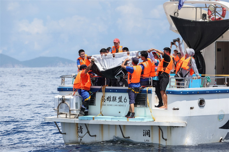 Hainan?: un dauphin échoué relaché en mer au large de Wanning