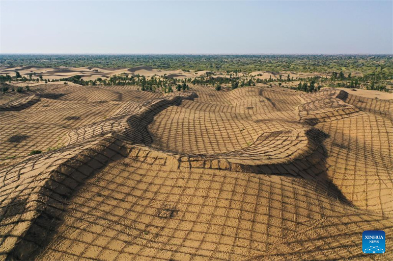 Mongolie intérieure : des projets de contr?le du sable lancés pour améliorer l'environnement écologique du désert de Kubuqi