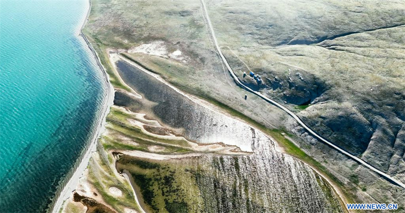 La Chine découvre une pierre sculptée de la dynastie Qin sur le plateau Qinghai-Tibet