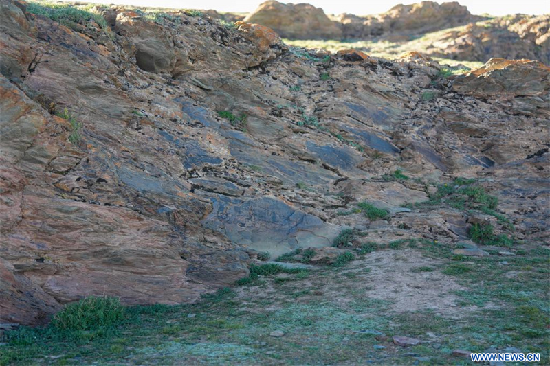 La Chine découvre une pierre sculptée de la dynastie Qin sur le plateau Qinghai-Tibet