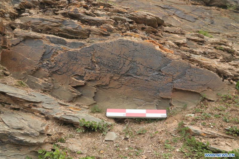 La Chine découvre une pierre sculptée de la dynastie Qin sur le plateau Qinghai-Tibet