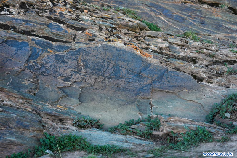 La Chine découvre une pierre sculptée de la dynastie Qin sur le plateau Qinghai-Tibet