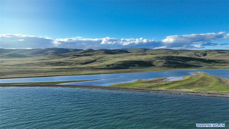 La Chine découvre une pierre sculptée de la dynastie Qin sur le plateau Qinghai-Tibet