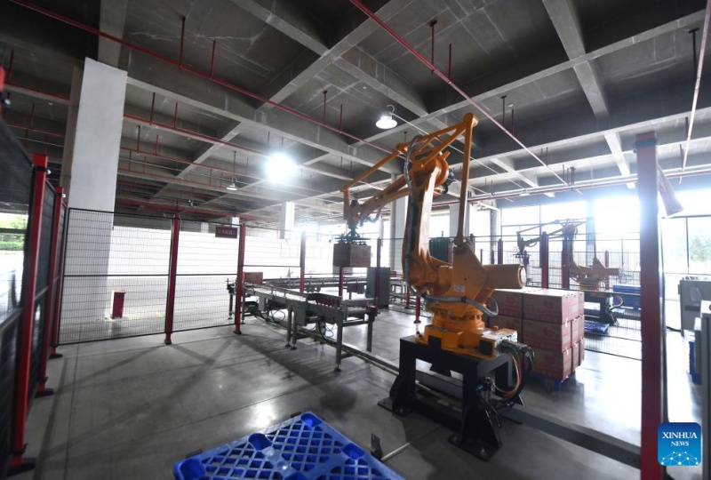 Guangxi?: les Luosifen, une spécialité de rue de Liuzhou qui dynamise la vitalité industrielle régionale