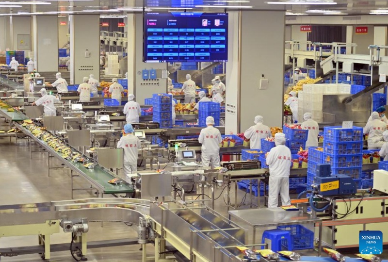 Guangxi?: les Luosifen, une spécialité de rue de Liuzhou qui dynamise la vitalité industrielle régionale