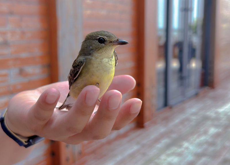 Jiangsu?:? ouverture du Forum mondial sur les zones c?tières 2025 à Yancheng