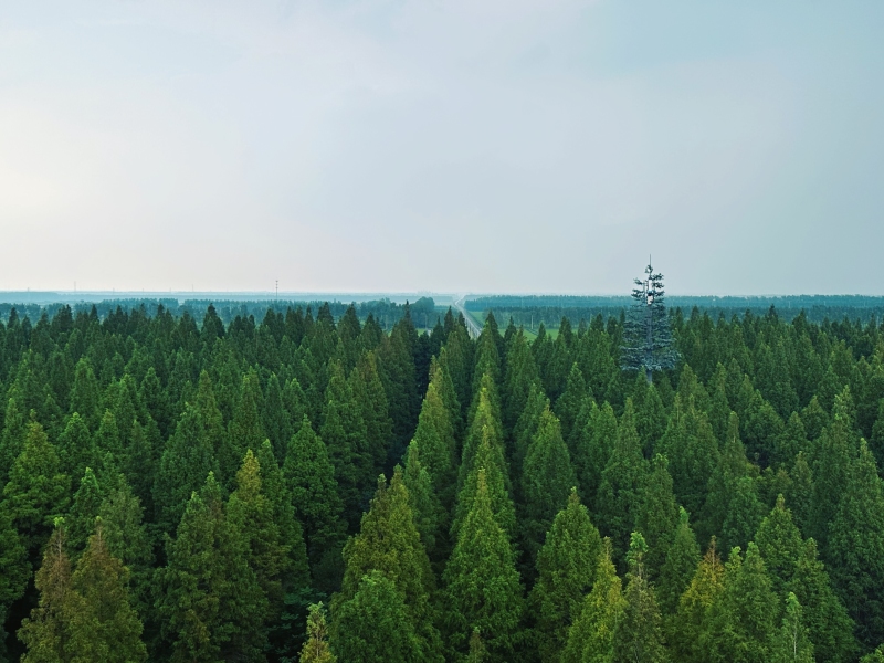 Jiangsu?:? ouverture du Forum mondial sur les zones c?tières 2025 à Yancheng