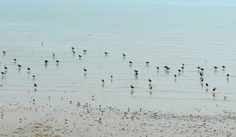 Jiangsu?:? ouverture du Forum mondial sur les zones c?tières 2025 à Yancheng