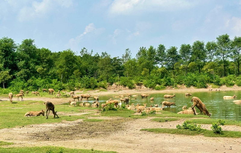 Jiangsu?:? ouverture du Forum mondial sur les zones c?tières 2025 à Yancheng
