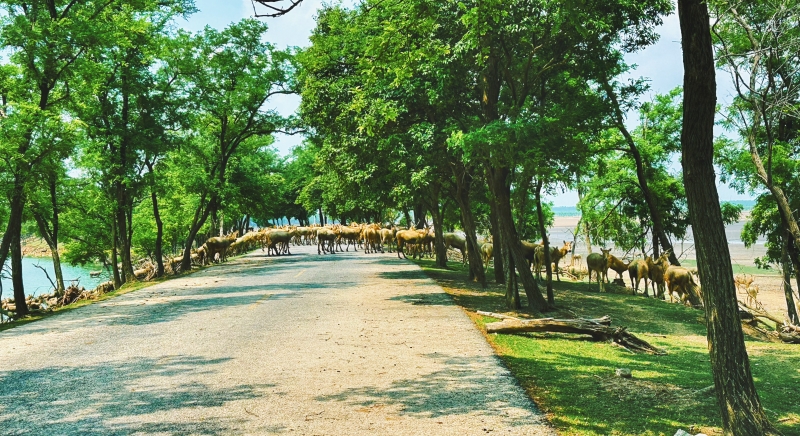 Jiangsu?:? ouverture du Forum mondial sur les zones c?tières 2025 à Yancheng