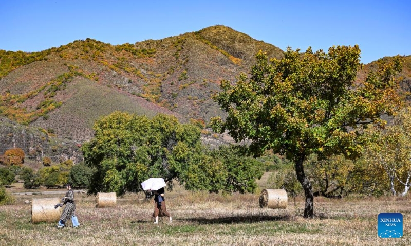 Mongolie intérieure?: les magnifiques paysages d'automne de la Bannière de Horqin