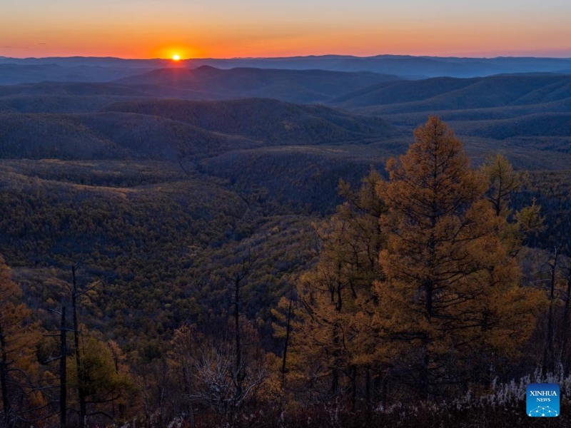 Mongolie intérieure?: les magnifiques paysages d'automne de la Bannière de Horqin