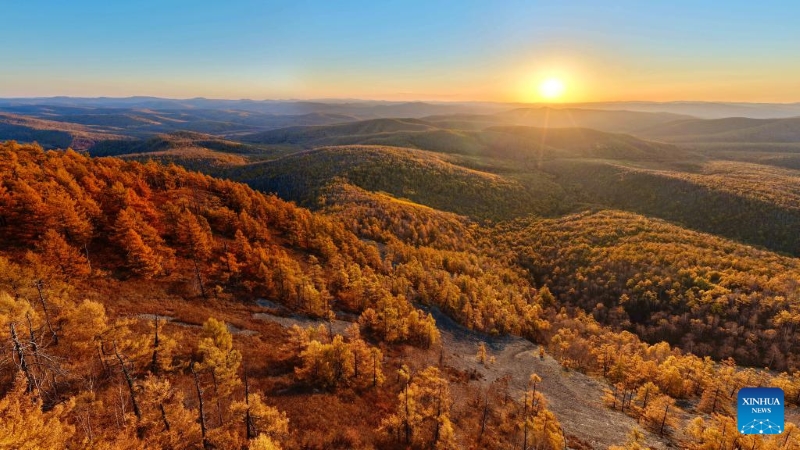 Mongolie intérieure?: les magnifiques paysages d'automne de la Bannière de Horqin