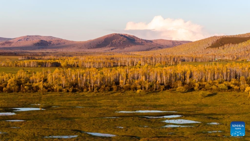 Mongolie intérieure?: les magnifiques paysages d'automne de la Bannière de Horqin