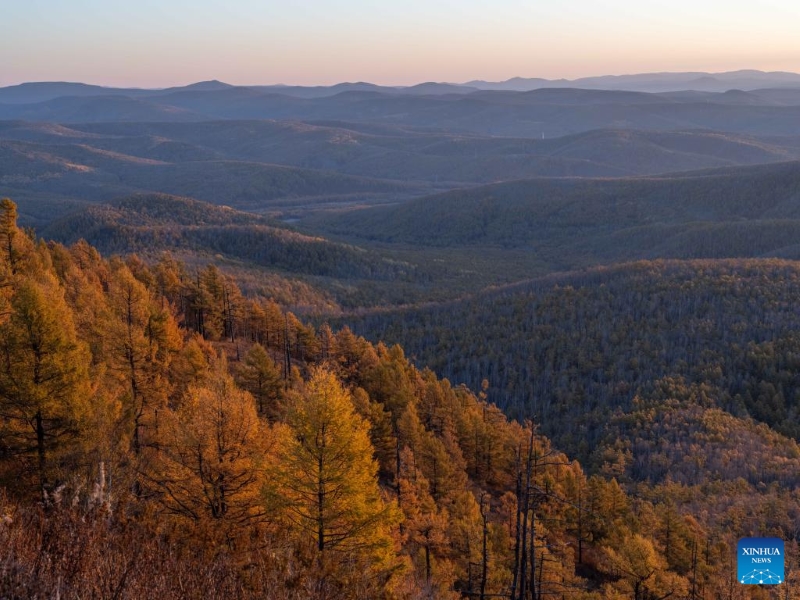 Mongolie intérieure?: les magnifiques paysages d'automne de la Bannière de Horqin