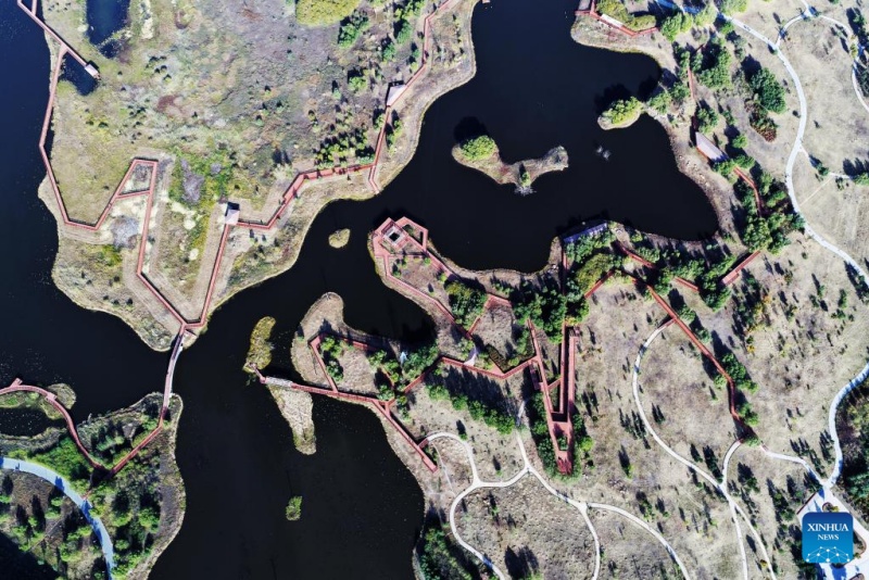 Heilongjiang ?: ?les paysages d'automne du parc des zones humides de Harbin