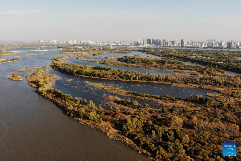 Heilongjiang ?: ?les paysages d'automne du parc des zones humides de Harbin
