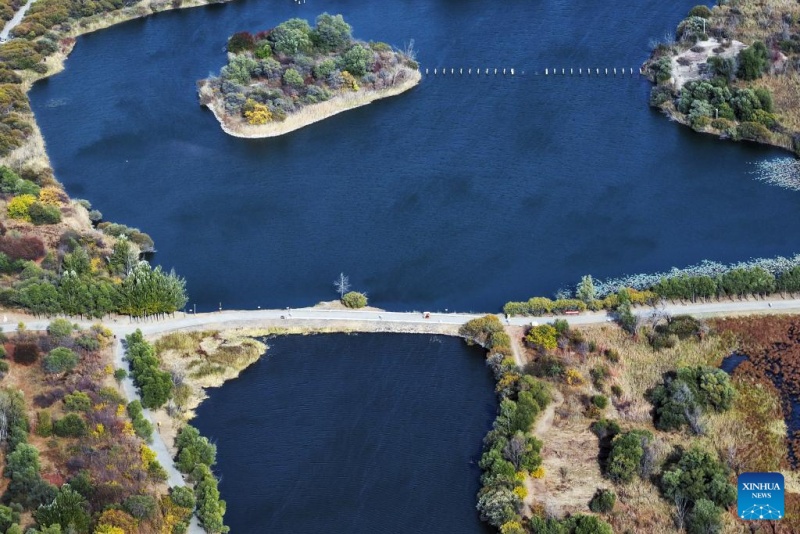 Heilongjiang ?: ?les paysages d'automne du parc des zones humides de Harbin