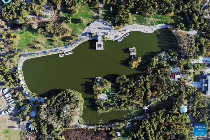 Heilongjiang ?: ?les paysages d'automne du parc des zones humides de Harbin