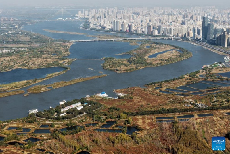 Heilongjiang ?: ?les paysages d'automne du parc des zones humides de Harbin