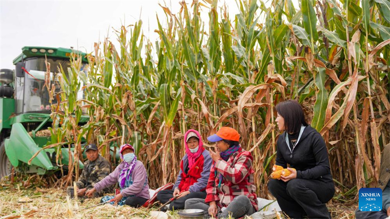 Jilin?: ?une ??nouvelle agricultrice?? dynamise la revitalisation rurale grace à de nouveaux modèles