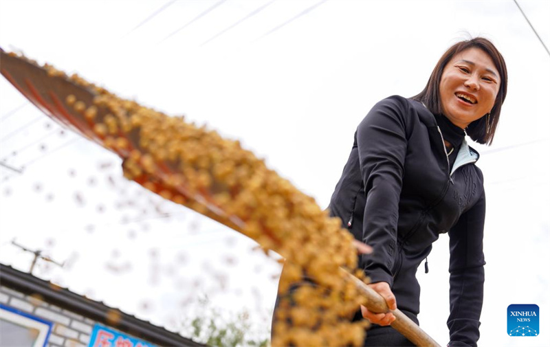 Jilin?: ?une ??nouvelle agricultrice?? dynamise la revitalisation rurale grace à de nouveaux modèles