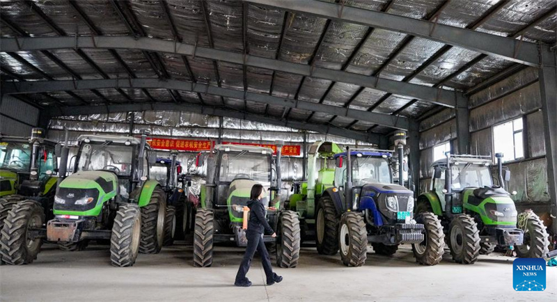 Jilin?: ?une ??nouvelle agricultrice?? dynamise la revitalisation rurale grace à de nouveaux modèles