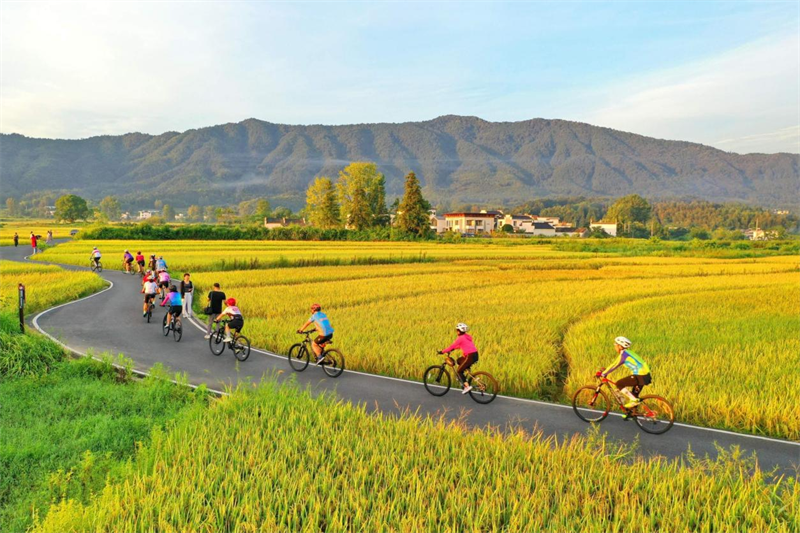 Des gens font du vélo sur une route de campagne du village de Guanlu, dans le comté de Qianxian, à Huangshan, dans la province de l'Anhui (est de la Chine). (Photo / Xu Jiadong)