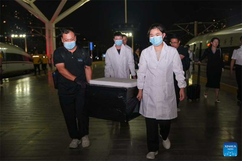 Des manuscrits chinois sur soie vieux de 2?300 ans de retour après près de huit décennies passées à l'étranger